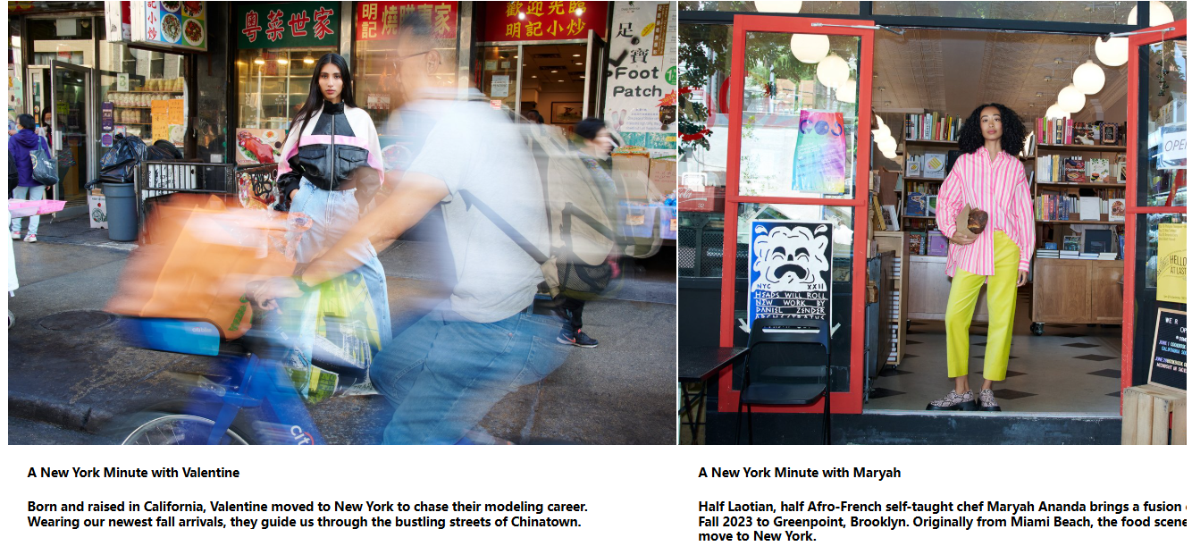 Pasted Image